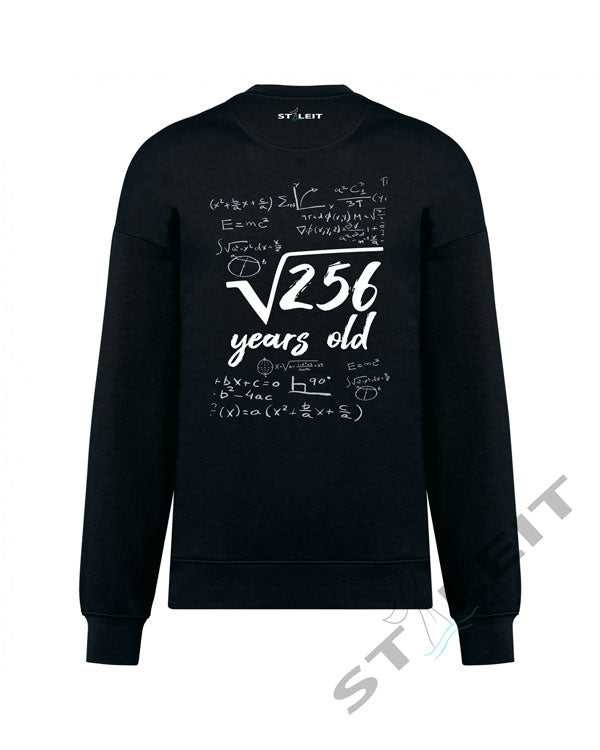 Sweatshirt Oversize - Equation (D421) - Styleit